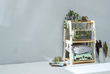 Stackable shelf